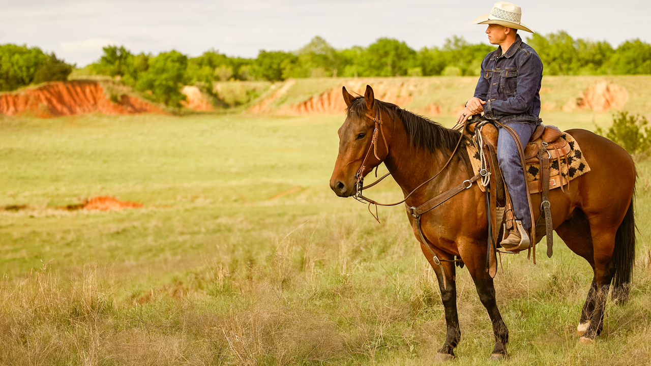 Cody on horseback in field 